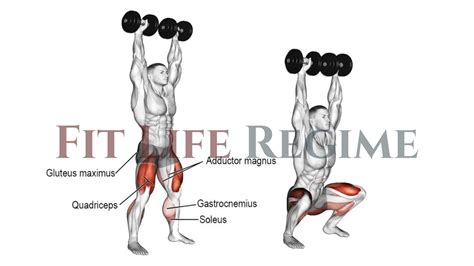 Dumbbell Overhead Squat Muscle Worked And Benefits
