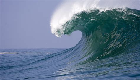 What are the different types of waves. Four Basic Types of Motion | Sciencing