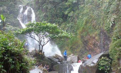 Format po 'tiket menuju surga'. Rute dan Harga Tiket Masuk Curug Ciherang Sukamakmur Bogor, Spot Wisata Epic dengan Kesegaran ...