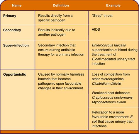 Basic Bacteriology Categories Of Infections