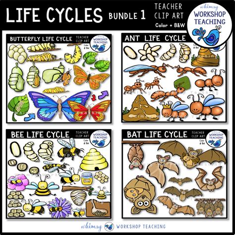 Life Cycles Clip Art Bundle 1 Whimsy Workshop Teaching