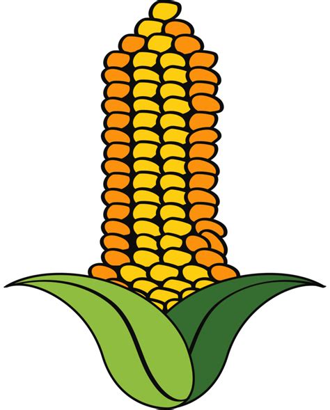 Corn Fresh Vegetable 24091525 Png