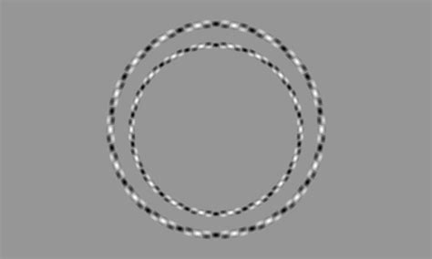 Akiyoshi Kitaokas Popple Illusions Using Gabor Patches To Reverse