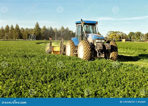 Alfalfa Hay Harvest In An Idaho Farm Field Editorial Photography