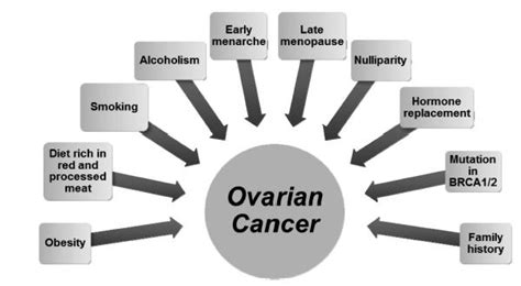 Stage 3 Uterine Sarcoma Cancer Survival Rate