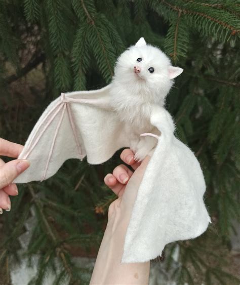 Flying Fox White Bat Ubicaciondepersonascdmxgobmx