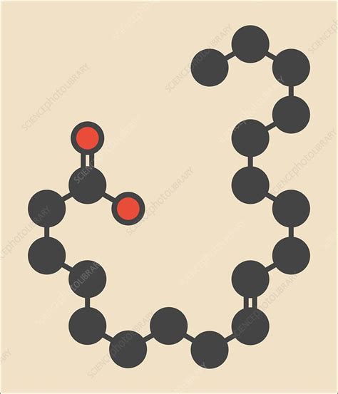 Elaidic Acid Molecule Stock Image F0125970 Science Photo Library