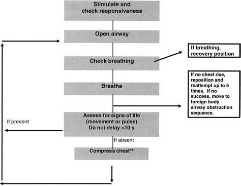 Pediatric Resuscitation Circulation