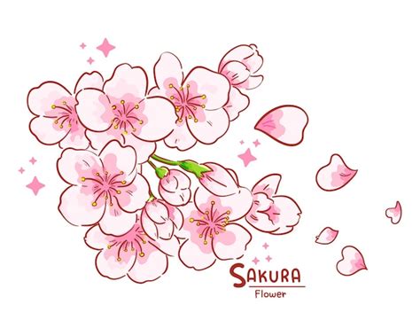 Discover 73 Sakura Flower Sketch Latest Ineteachers