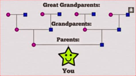 Maybe you would like to learn more about one of these? Animated Film Reviews: "Your Family Tree Explained ...