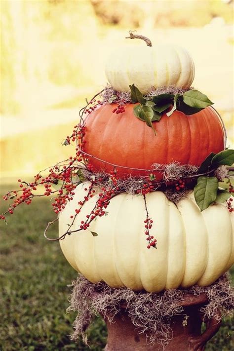 Pretty Pumpkins Outdoors Pinterest