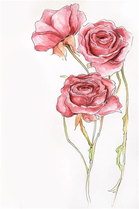 Maybe you would like to learn more about one of these? watercolor rose painting | Tumblr | Crafting | Pinterest ...