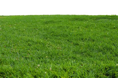 Grass Png Images Download