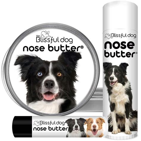 The Blissful Dog Border Collie Shop For Dry Noses Rough Paws More