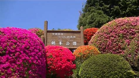 A&b is one of the most specialized manufactures for distribution boxes,. 鶴峯公園 つつじ祭り① 岡谷市 - YouTube