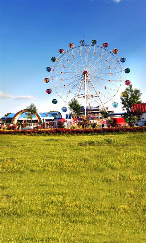 Summer Ferris Wheel Backdrop Photo Pie