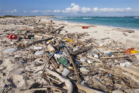 Trash Covered Beach In Aruba Posters And Prints By Corbis