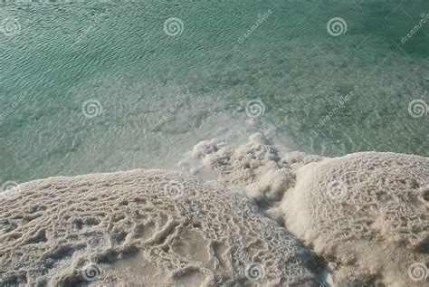Minerals Of Dead Sea Stock Photo Image Of Water Sediments 6527722
