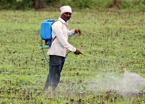 Stock Pictures Pesticide Spraying
