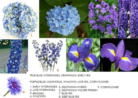 Blue Flowers Dahlia Floral Design