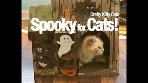 Cat Haunted House For Meowloween Youtube