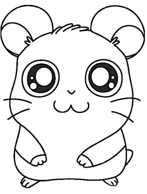 Awesome Hamster Para Colorir Imprimir E Desenhar Colorirme Images And Photos Finder