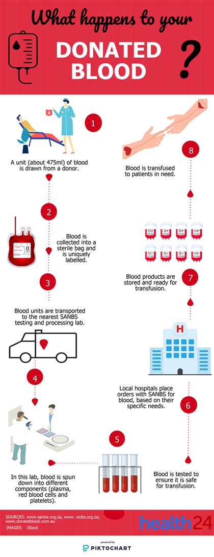 See What Happens To Your Donated Blood Life