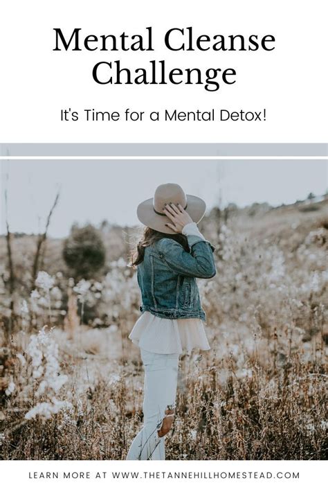 Mental Cleanse Challenge Its Time For A Mental Detox Mental Detox