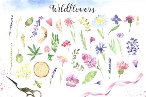 Watercolor Wildflowers Set On Yellow Images Creative Store