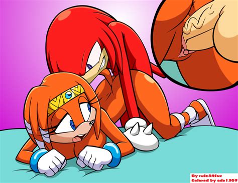 1429914 Knuckles The Echidna Sonic Team Tikal The Echidna Adc1309
