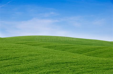 Green Hills And Blue Sky Stock Photo Image Of Blue Farm 5130164