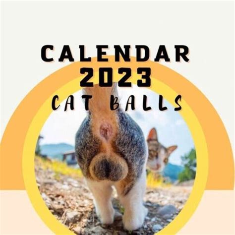 Funny Cats Calendar Cat Buttholes Calendar 2023funny Cat Balls