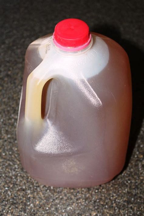 Where do pest control companies spray treatment in my home? Garlic spray as a pest control solution | Garden pest ...
