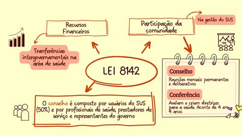 Mapa Mental Lei 8080