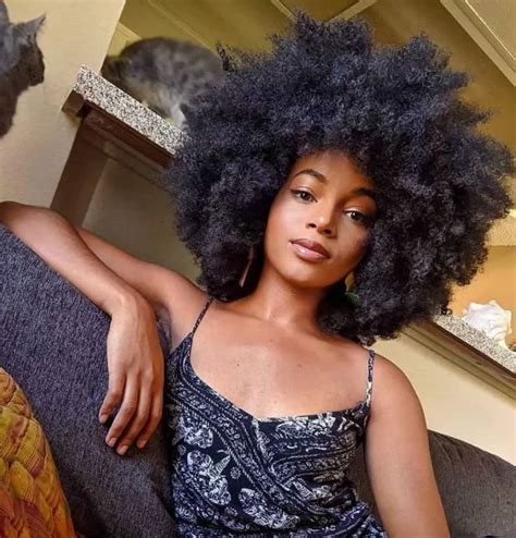 68 Afro Hairstyles For Black Women You Cannot Miss New Natural Hairstyles Natural Hair