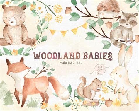 Watercolor Clipart Woodland Animals Woodland Clipart Floral Etsy