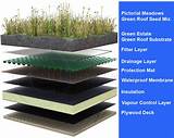Pictures of Green Roof Coating