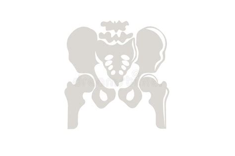 Skull Hip Skeleton Vector Illustration Stock Vector Illustration Of