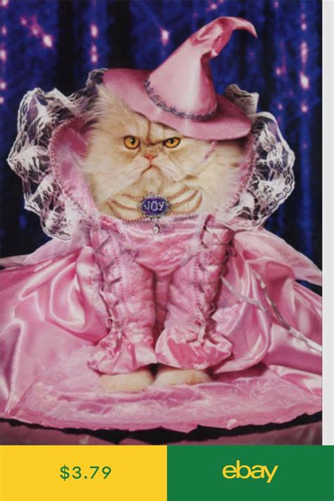 Joy The Good Witch Avanti Funny Cat Halloween Card Greeting Card By Avanti Press Funny Cats