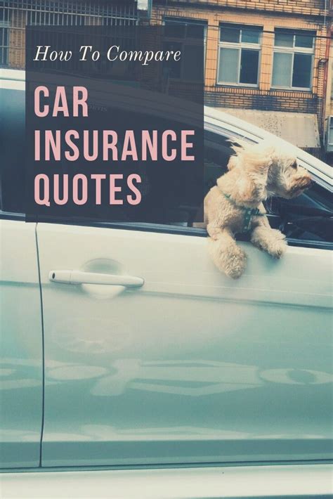 70 Best Of Confused Car Insurance Quotes