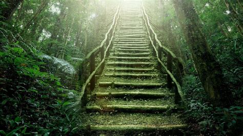 Man Made Stairs Hd Wallpaper