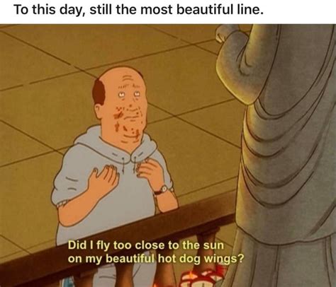 Best King Of The Hill Memes