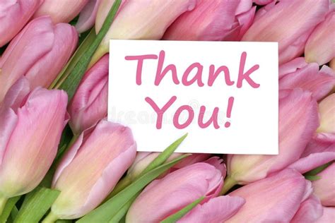 Thank You On Greeting Card T With Tulips Flowers Stock Photo Image