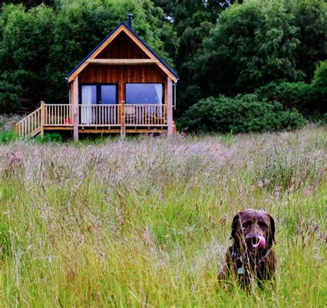 Dog Friendly Accommodation In Scotland Love From Scotland