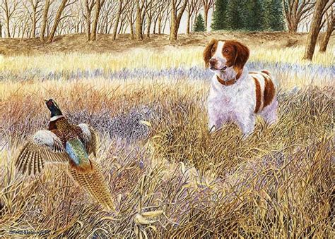 Brittany Not A Spaniel Brittany Spaniel Hunting Dogs Hunting Art