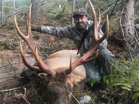 Roosevelt Elk Hunts Vancouver Island Guide Outfitters