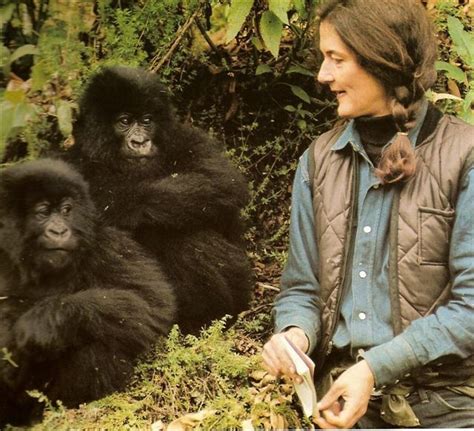 Pin By Biosophia On Icons Dian Fossey Gorillas In The Mist Animal