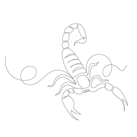 Premium Vector Scorpion One Line Drawing Sketch Isolated Vector