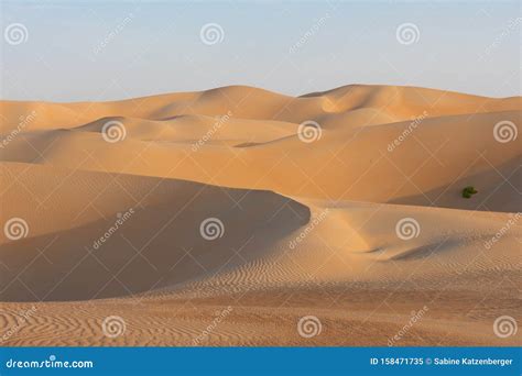 Arabic Sand Desert Stock Image Image Of Liwa Quarter 158471735