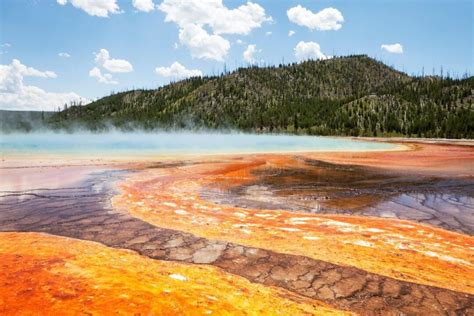18 Absolutely Best Yellowstone Tours For 2022 National Park Obsessed